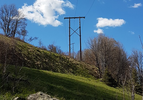 Wooden electricity pole